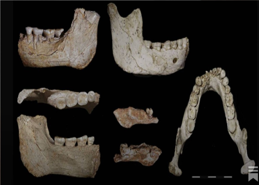 كشف أثري في المغرب يسد فجوة