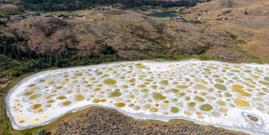 البحيرة المنقطة في كندا.. مفارش ملحية