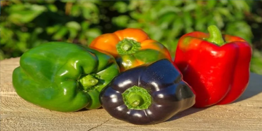 أقوى من البرتقال بـ 3 أضعاف..