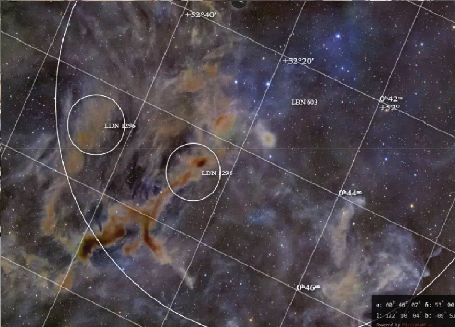 سديم الزرافة.. صورة مذهلة تثير ضجة