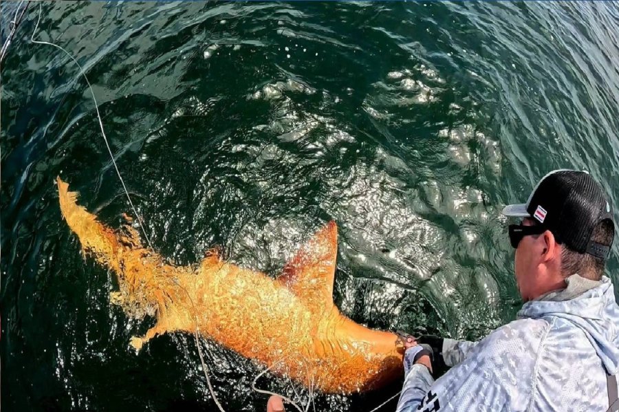 ظاهرة نادرة في أعماق الكاريبي.. اكتشاف