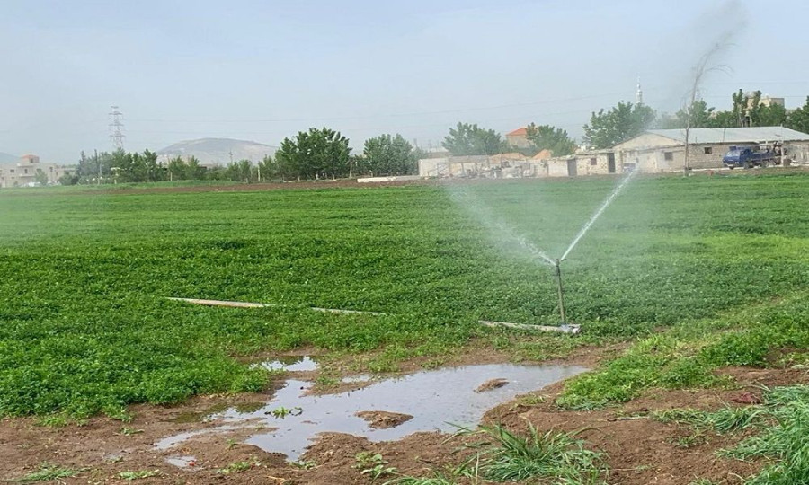 تحذير مهم.. من سلطة وادي الأردن