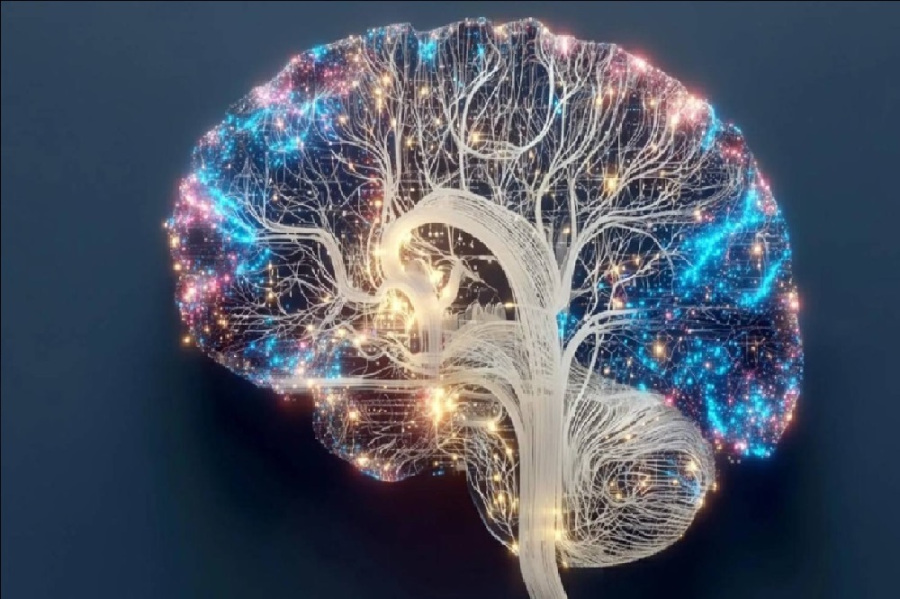 حين يصرخ دماغك طلبا للنوم.. دراسة