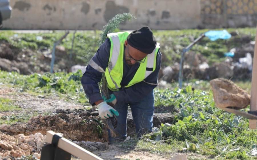 الإدارة المحلية توجّه البلديات لغرس 250