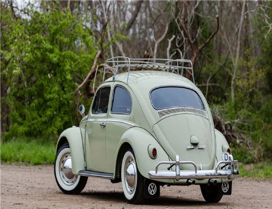 هل تذكرون هذه اللطيفة؟ الخنفساء صارت