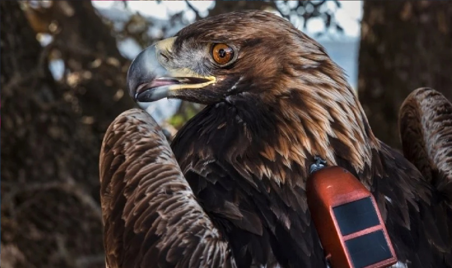 دراسة: اضطراب غير مسبوق في حياة