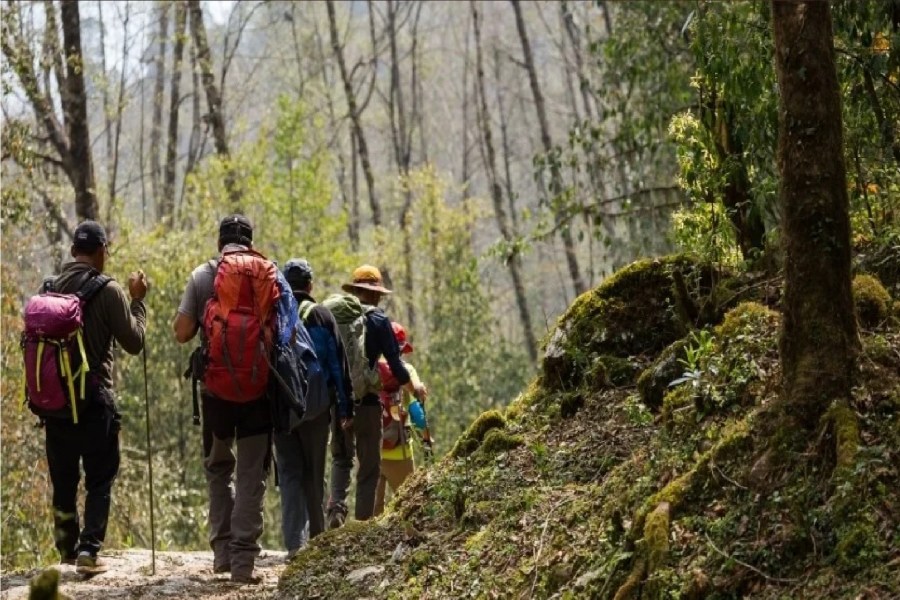 فخ الينابيع الساخنة.. كيف ضلل الذكاء