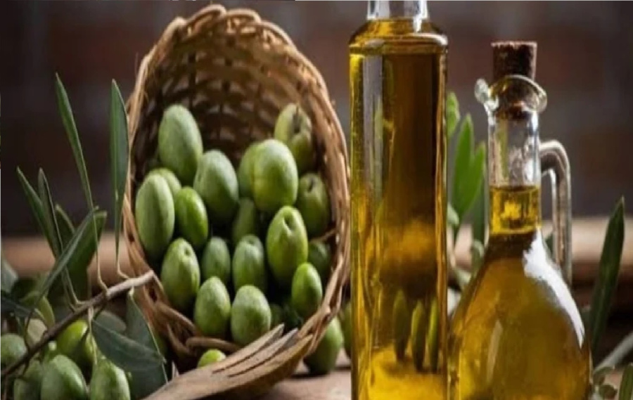 زيت الزيتون البكر الممتاز.. صيدلية طبيعية