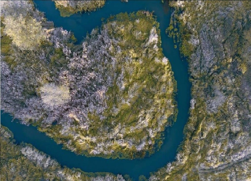 بصمة الذرة.. تكنولوجيا ثورية تتيح للعلماء