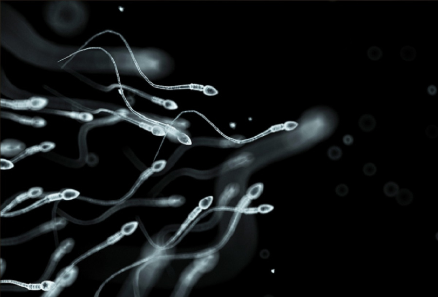 دراسة طبية تحذر: خصوبة الرجال تبدأ