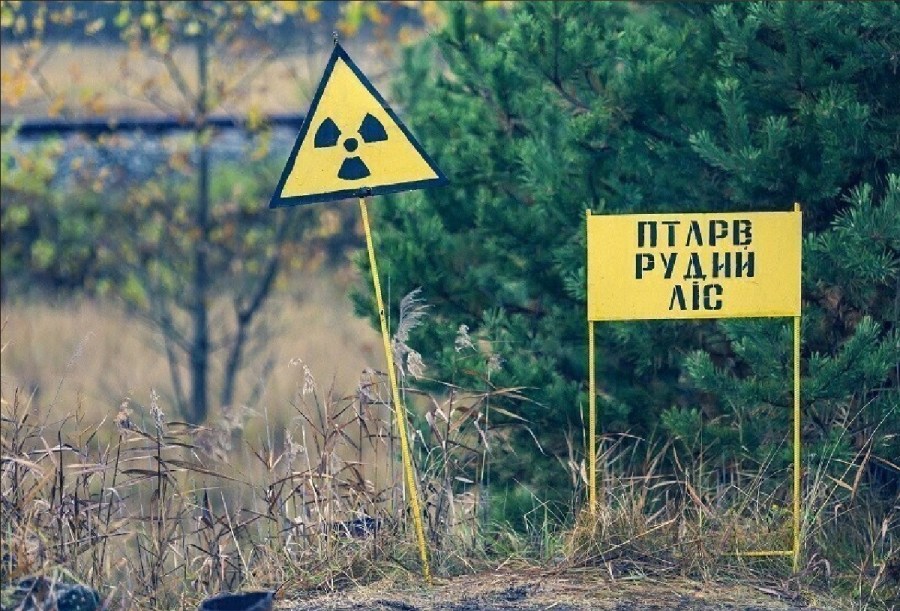 دراسة ألمانية تكشف أثر إشعاع تشيرنوبيل