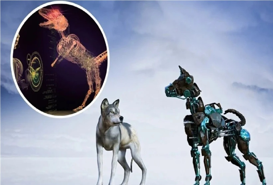 علماء في السويد يحاكون التطور الطبيعي