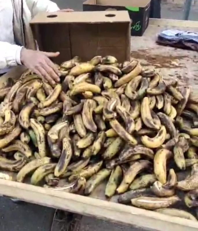 إربد: إتلاف كميات من الموز غير