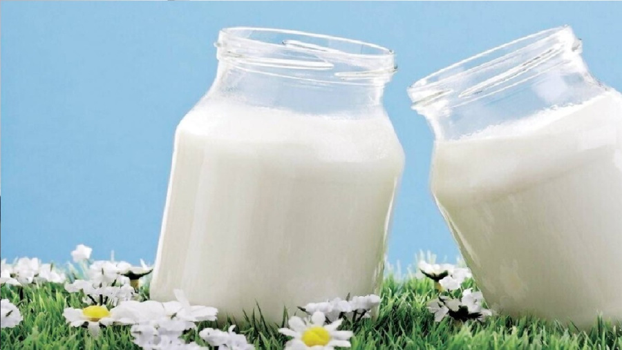 سر العظام القوية.. دراسة تكشف فوائد