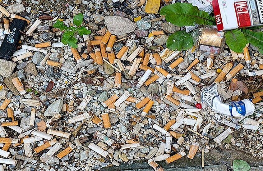 هل تبقى أعقاب السجائر سامة حتى