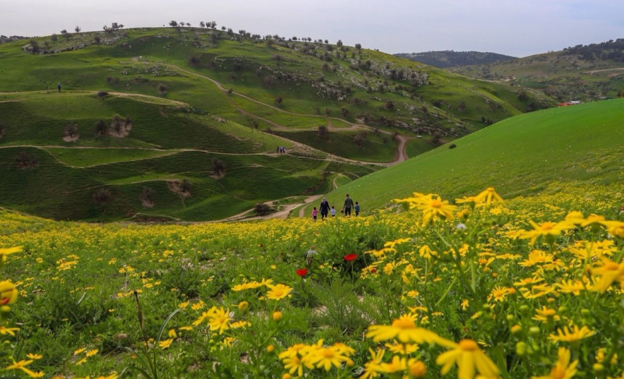 إقبال سياحي لافت على المواقع الأثرية