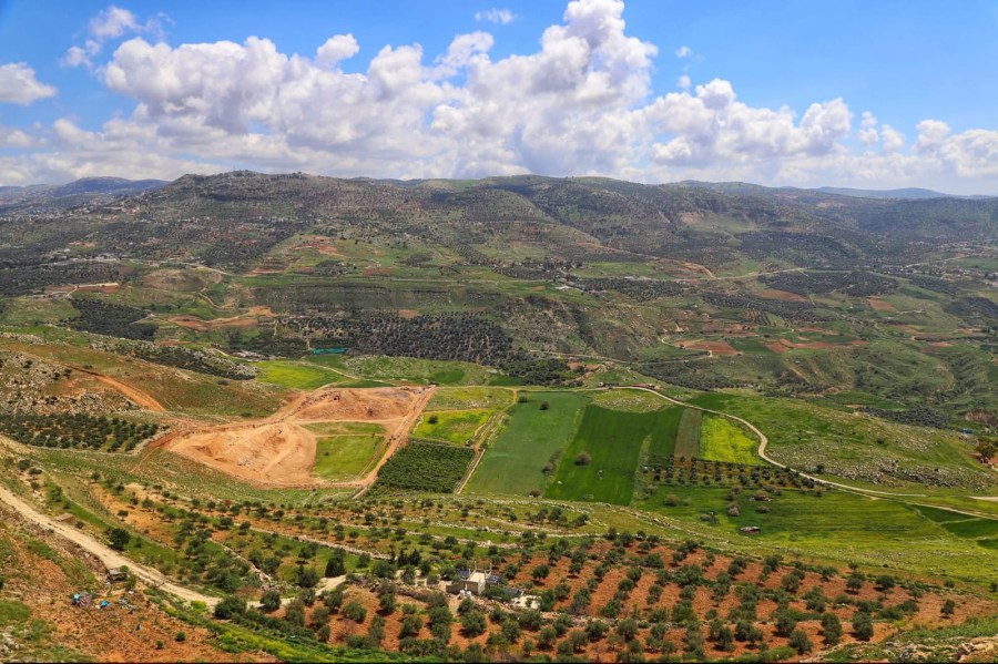 الربيع في عجلون.. لوحة طبيعية نابضة