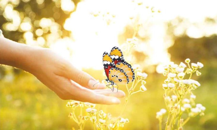 تقرير صادم يكشف 33 نوعا من