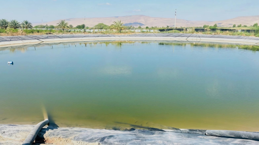 زراعة الأغوار الشمالية تدعو لتسييج البرك