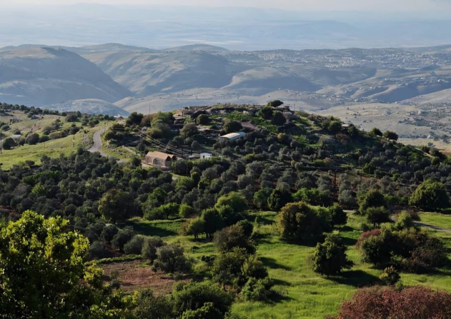 الأمن الأردني: ندعو الجميع إلى الالتزام