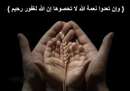 ما وراء النعمة ؟