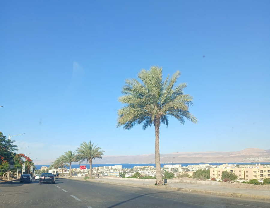 للحفاظ على إطلالة البحر: أهمية تعديل