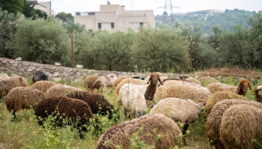 إطلاق أول عملية وطنية لقياس مؤشرات