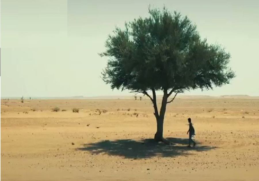 عندما تكون أول شعرة شيب اعلان