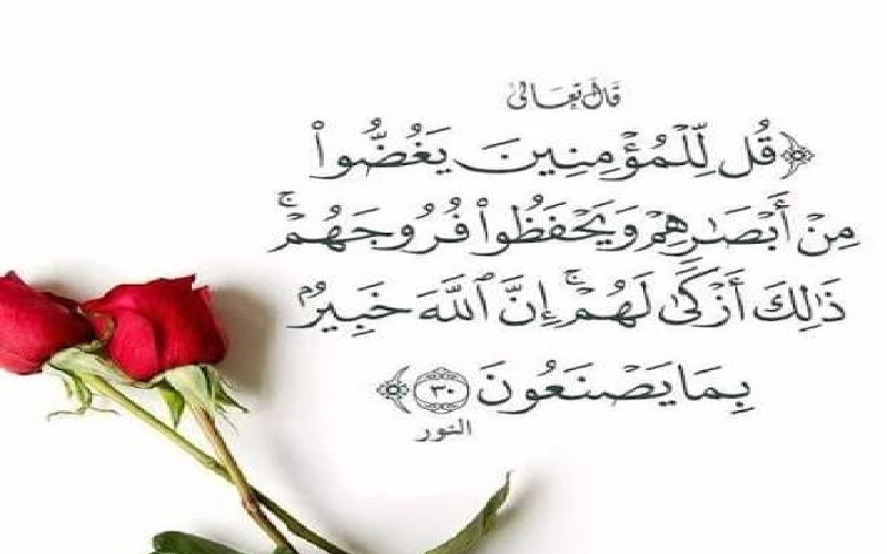 عن غض البص.. وحديث لا تتبع