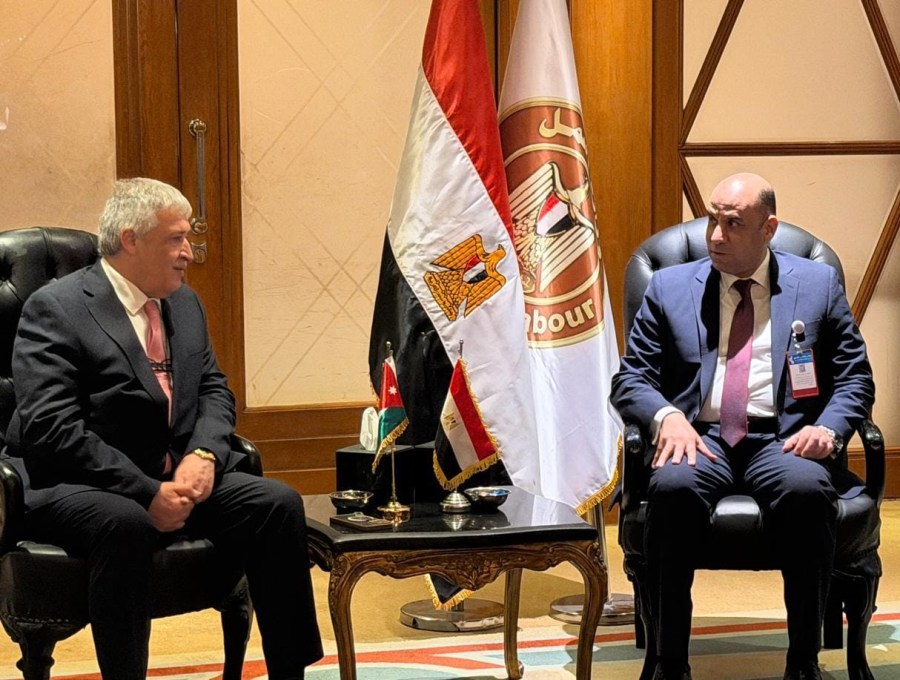 وزير العمل يبحث ونظيره المصري ملف
