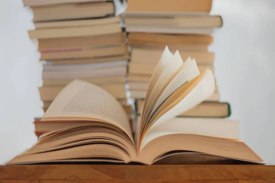 عودة هادئة للورق.. كيف يقاوم الكتاب