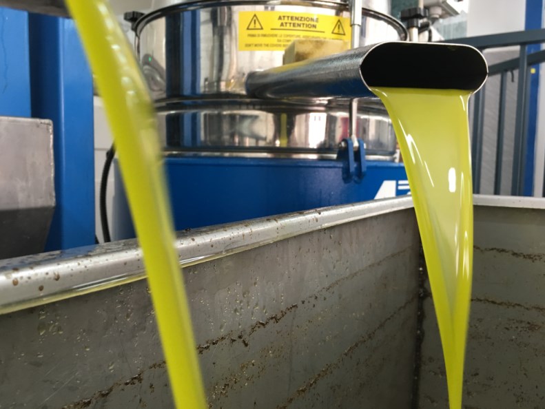 الزراعة تقرر فتح معاصر الزيتون بـ