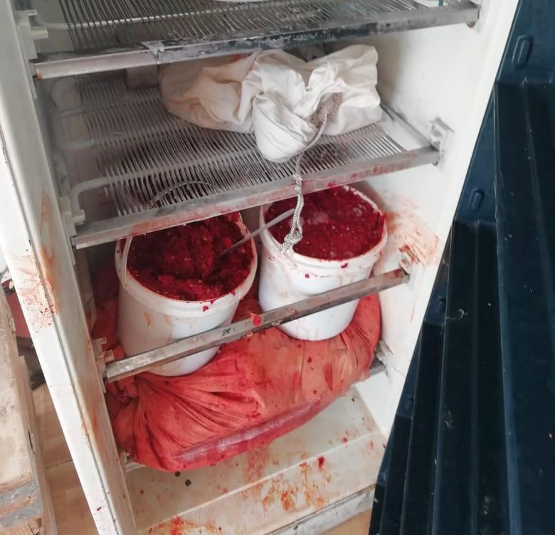 ضبط مصنع البان فاسدة في الازرق