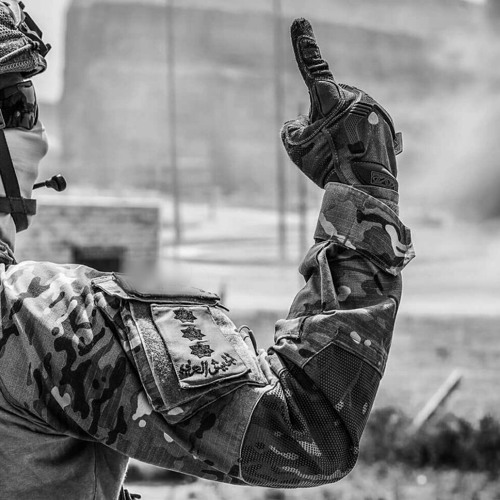 التل يدعو إلى عسكرة أجهزة الدولة