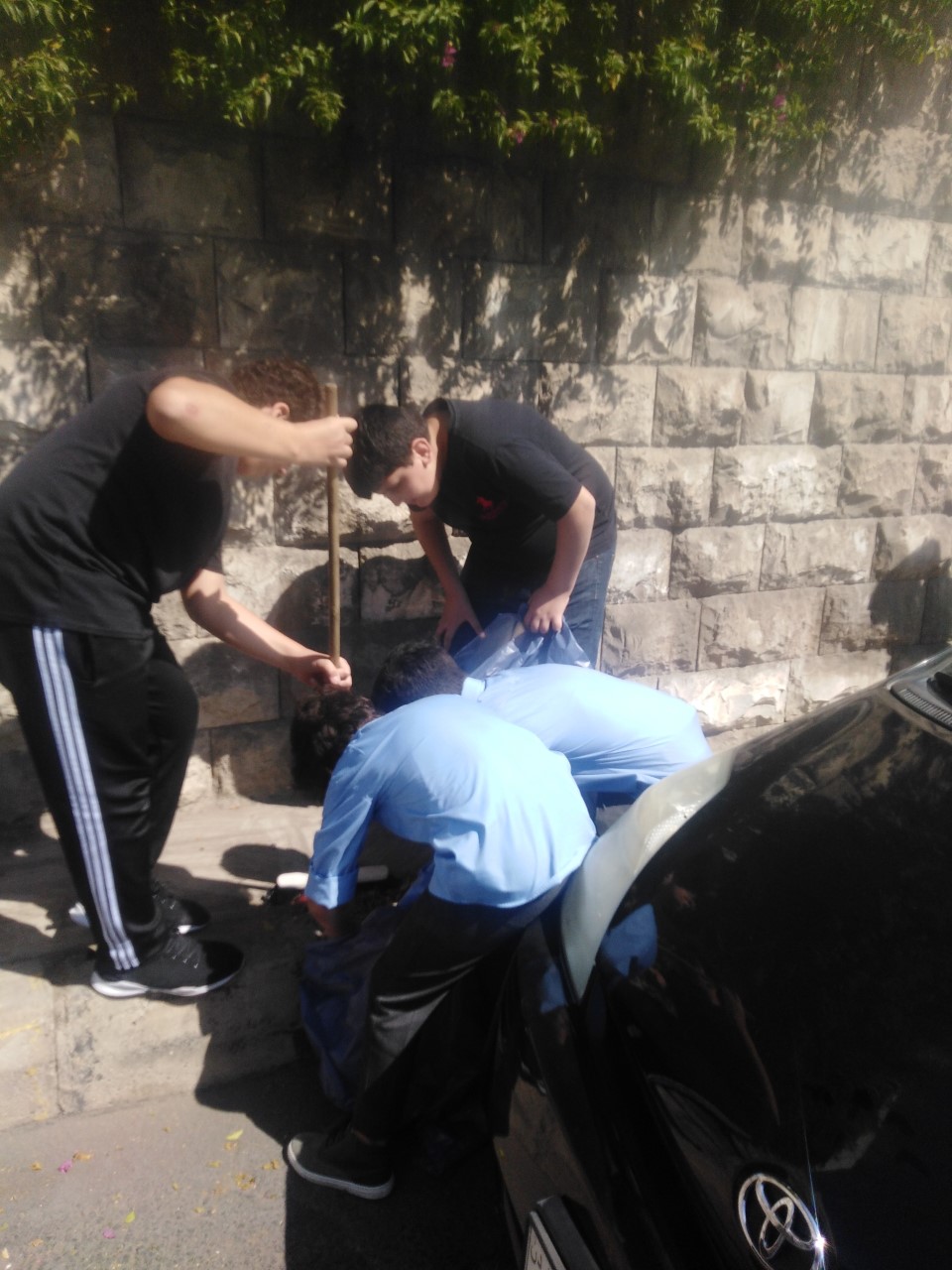 طلبة مدرسة بنين جبل عمان ييساعدون