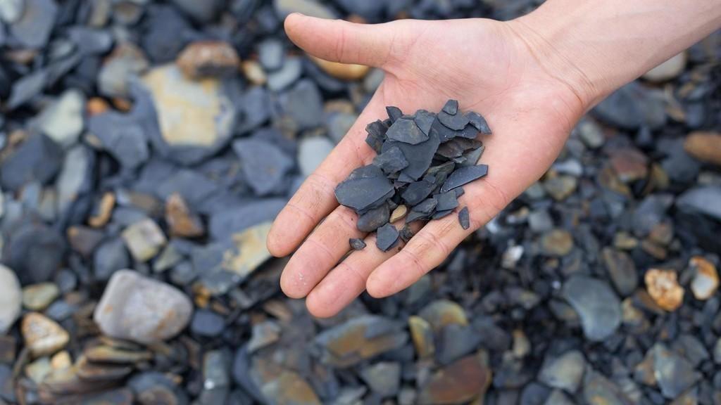 ما حقيقة بيع الحكومة مشروع الصخر