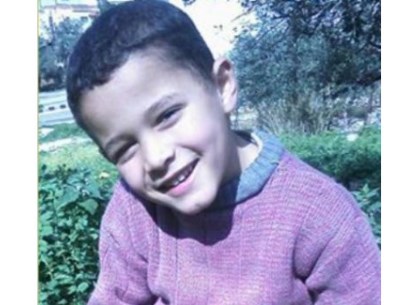 الخارجية الأردنية: ما زلنا نتأكد من