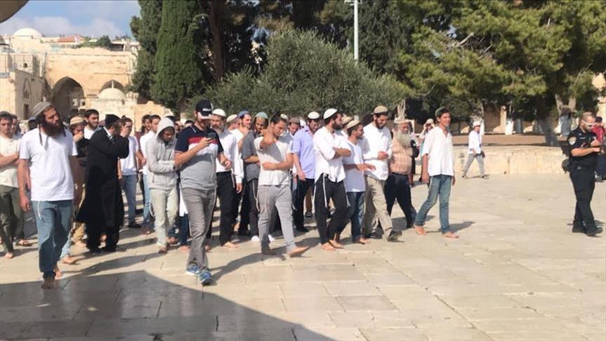 500 مستوطن مدججين بالسلاح يقتحمون الاقصى