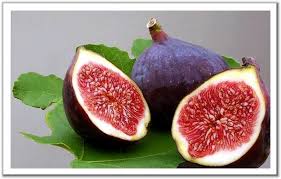 زيت بذور التين علاج للأمراض الجلدية