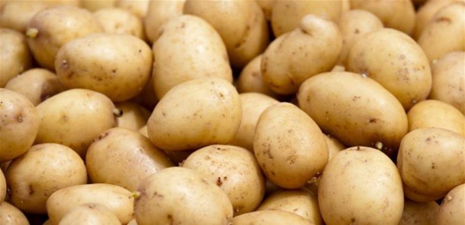 الزراعة توضح: تعرضت لسوء تخزين من