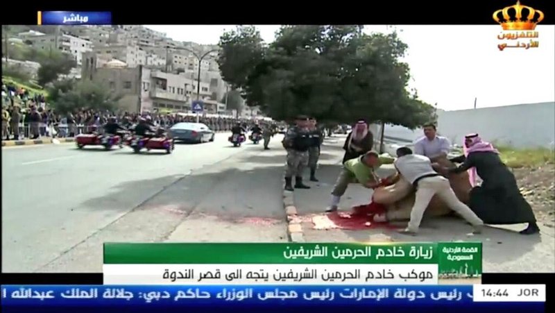 فرحة أردني بزيارة الملك سلمان.. ينحر