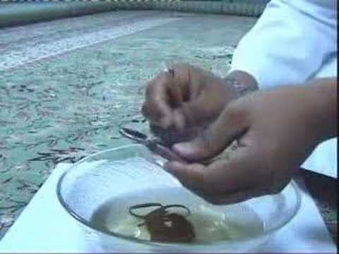 إبطال سحر التعطيل في الرزق والعمل