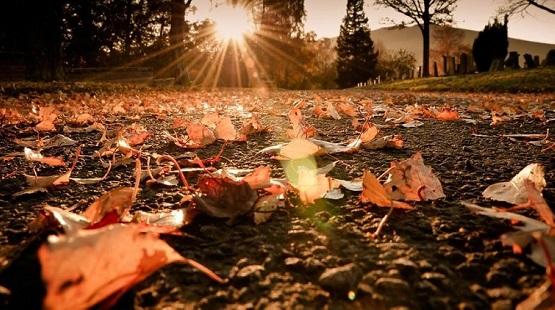 اجواء معتدلة اليوم وغدا