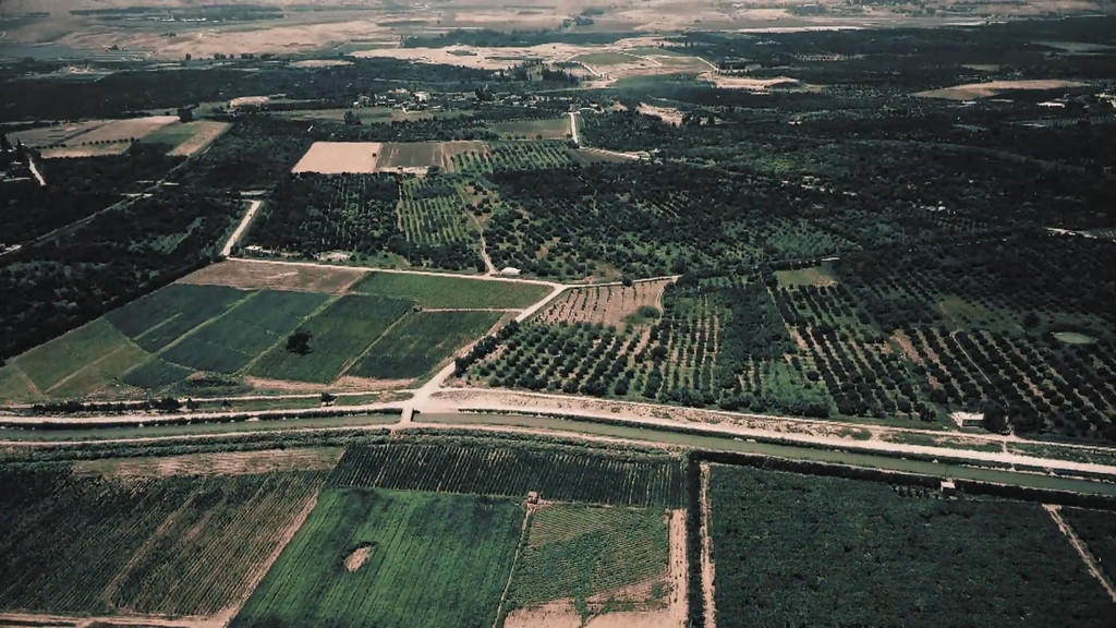 ماذا يعني قانونيا استعادة أراضي الباقورة