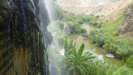 الباقورة والغمر.. كنز زراعي لدعم اقتصاد