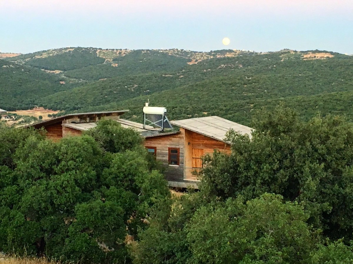 مشروع قريب لانشاء غابة حرجية كمتنفس