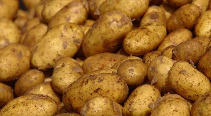 المفرق: ضبط طنين من البطاطا غير