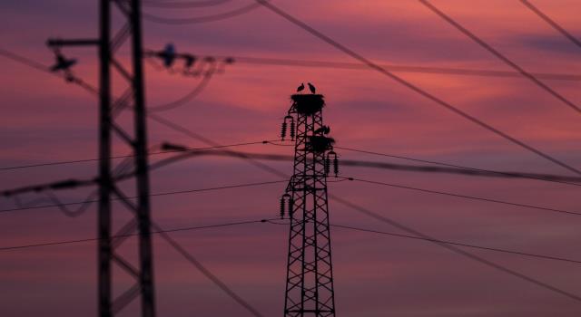 هل ترفع الحكومة أسعار الكهرباء استجابة