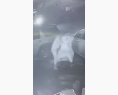 فيديو يوثق لحظة اختطاف شاب بشارع