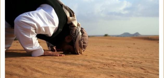 هذان.. عمود الإسلام